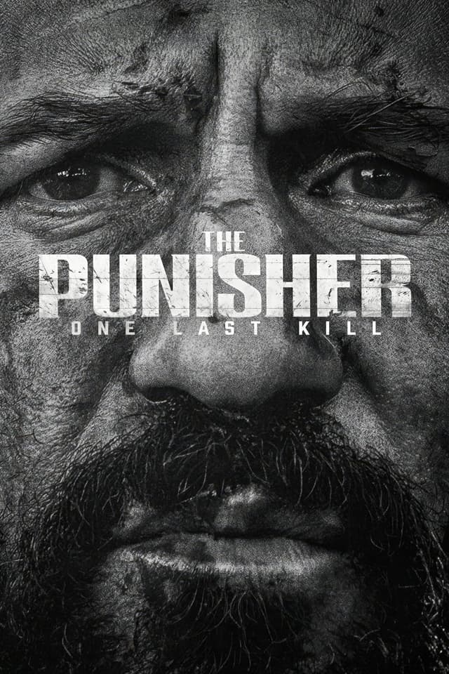 The Punisher: One Last Kill